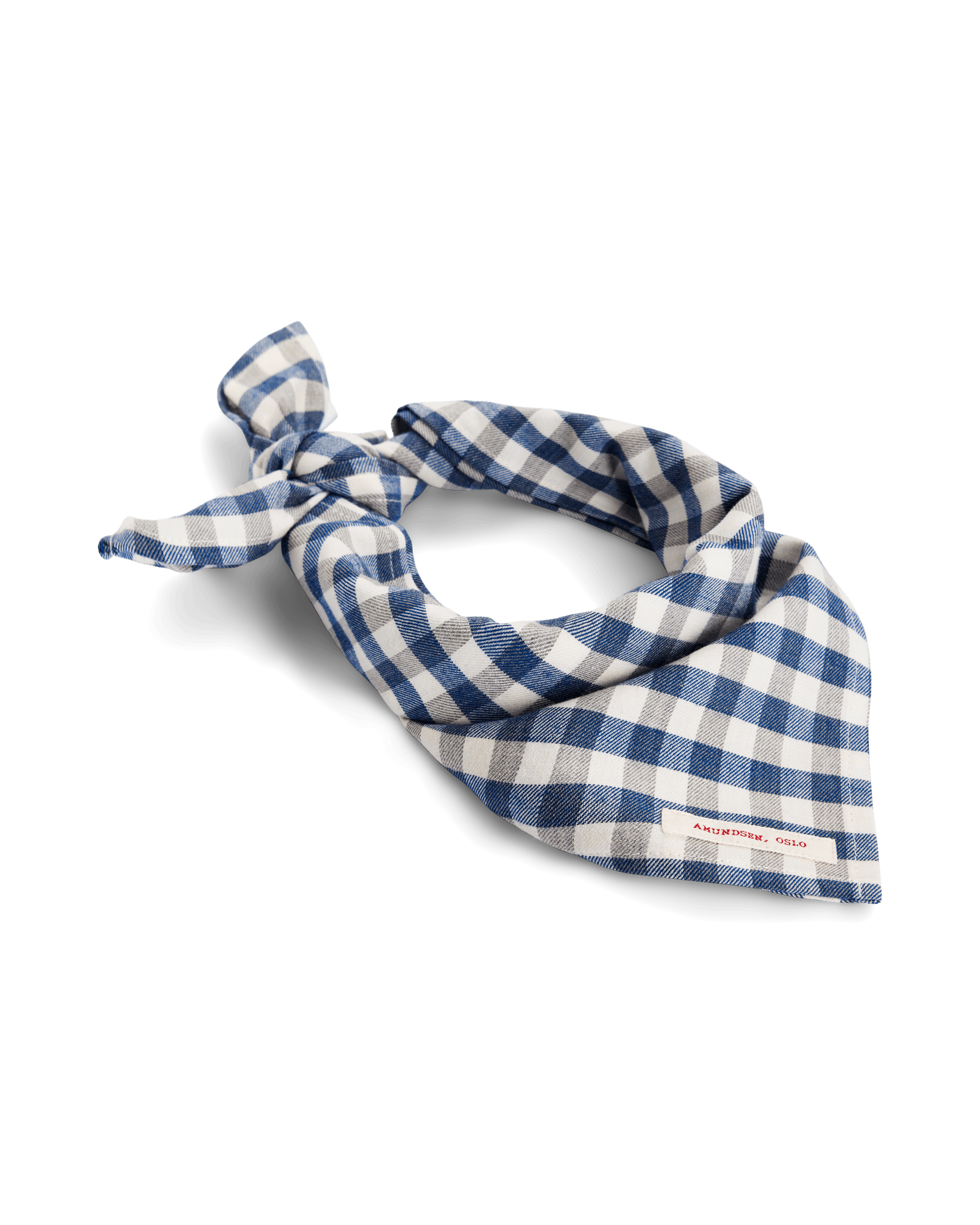 V-BOND BANDANA