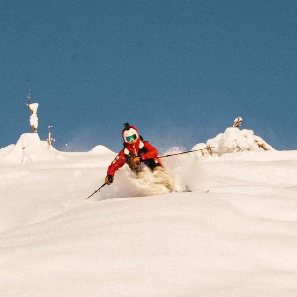 Amundsen Peak Panther (2022) - Image 3